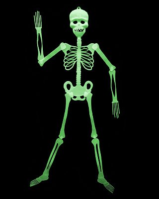 Скелет пластиковий фосфорний, що світиться вночі 87 см 8528246452206 фото