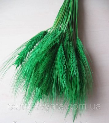 Пшениця натуральна стабілізована темно-зелена 5904305142494 фото