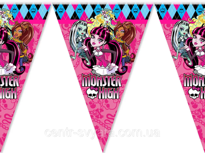 Гірлянда паперова прапорці "Monster High" 1-1-А1 фото