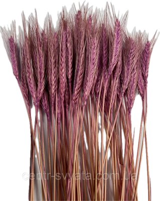 Пшениця натуральна стабілізована лілово-рожева 5904305142586 фото