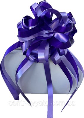 Бант подарунковий великий Фіолетовий 25см. 2070324942 фото