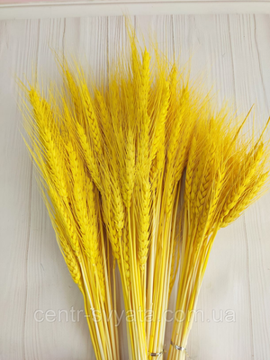 Пшениця натуральна стабілізована жовта 5904305142418 фото