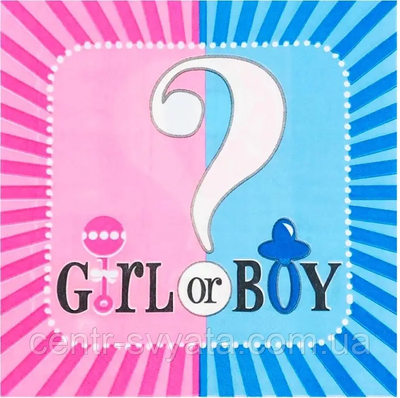 Серветки святкові гендерні "GIRL OR BOY", 15 штук 1811891581 фото