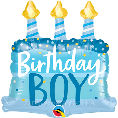 Фольгована кулька міні-фігура Qualatex 14" (36 см) Торт зі свічками "Birthday Boy" 71444250528 фото