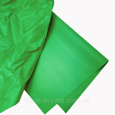 Папір тишею (50х70 см) "Зелена", 10 шт. 111019 \ 2-3-А6-28 фото