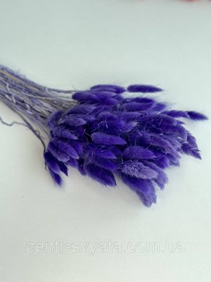 Лагурус натуральний 20 шт фіолетовий 1806578189 фото