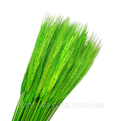 Пшениця натуральна стабілізована зелена 5904305142470 фото