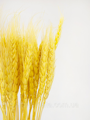 Пшениця натуральна стабілізована світло-жовта 5904305142395 фото